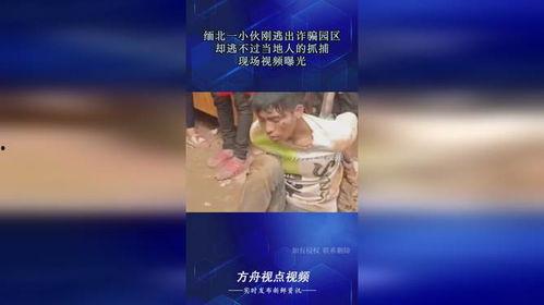 当地人的爆料视频大全,爆料视频大全背后的真实故事