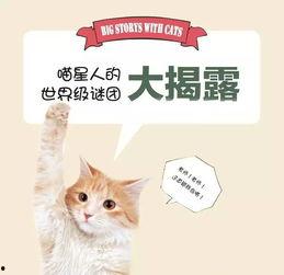 黄瓜猫吃瓜视频免费观看,免费畅享欢乐时光