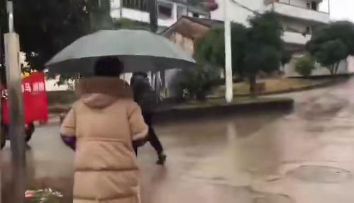 浙江金华母女爆料视频,揭露惊人真相，引发社会关注