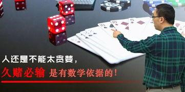 鸡场老板爆料视频大全