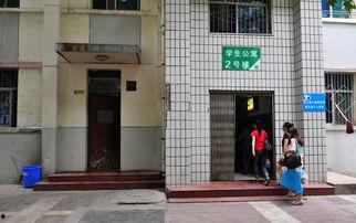 厦门大学厕所在线观看,带你体验校园生活新方式