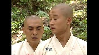 在线观看少林武王,传奇武学，热血江湖