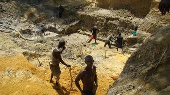 金矿英文在线观看,Discover the Thrilling Adventure of Gold Mining with Online English Subtitles