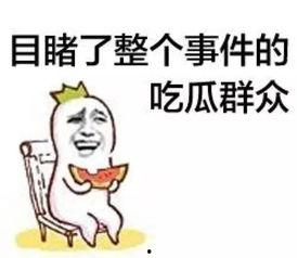 吃瓜群众图片可爱 头像